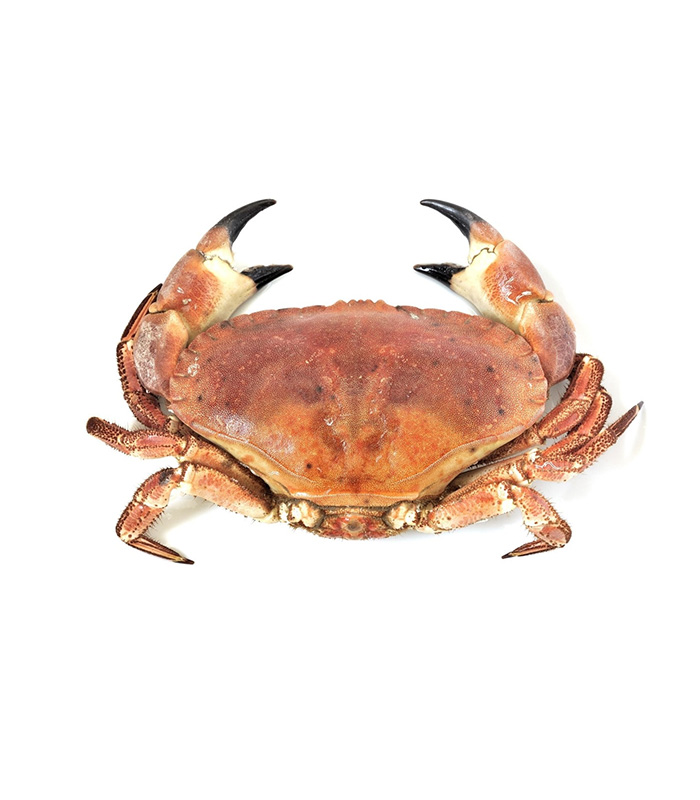 vg-sf-frshs-3.jpg Cornish Crab (Whole) - Imagen 1