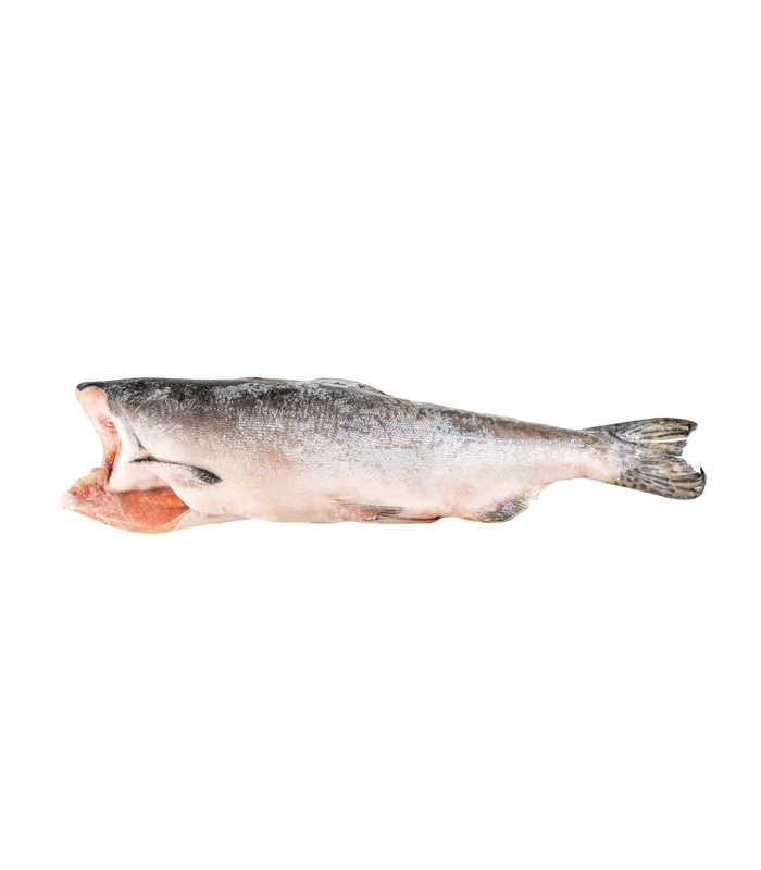 vg-sf-frzf-4.jpg Pink (Hump-Back) Salmon - Imagen 1