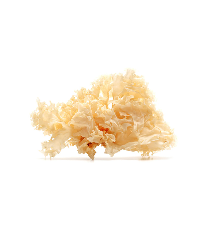 vg-vaf-m-8.jpg Dried White Fungus - Imagen 1